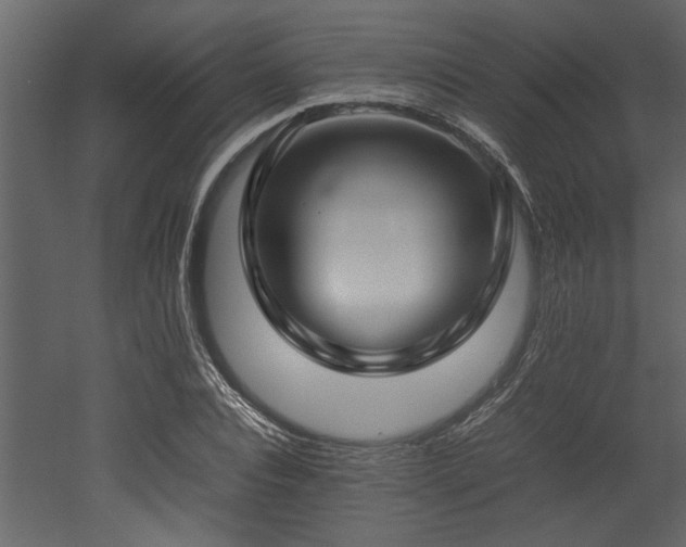 X0000052990928200507081145