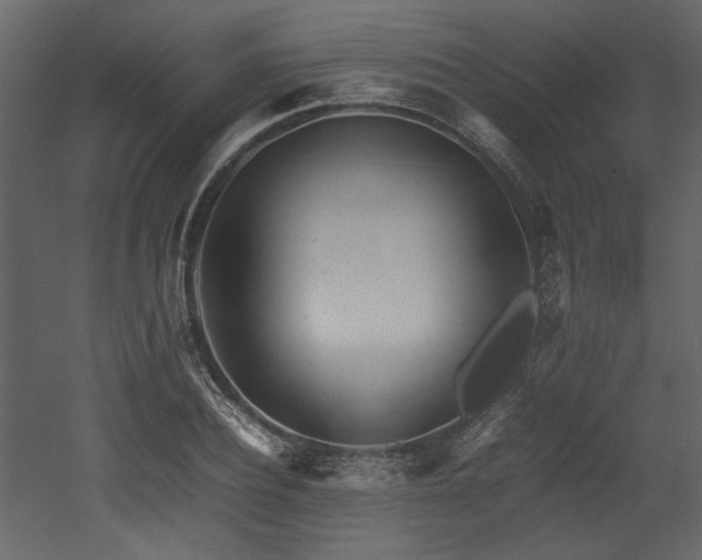 X0000052990932200507081145