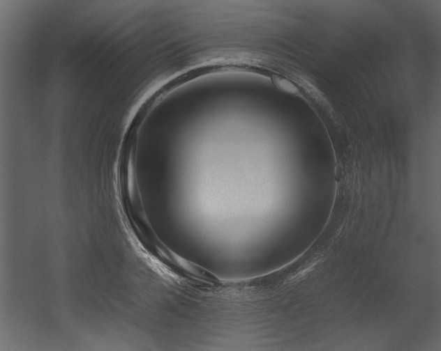 X0000052990936200507081145