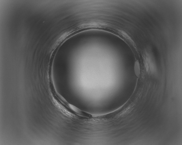 X0000052990938200507081145
