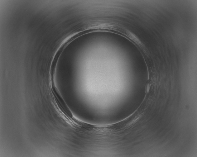 X0000052990940200507081145