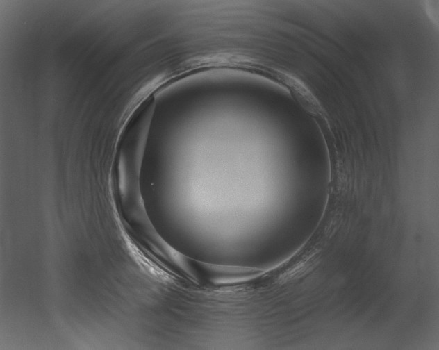 X0000052990946200507081145
