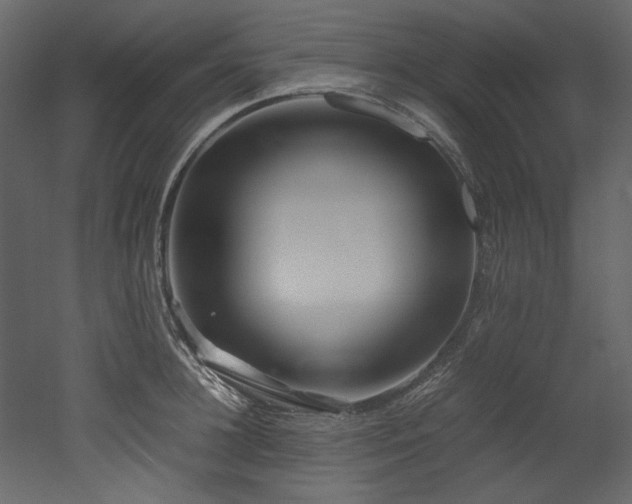 X0000052990948200507081145