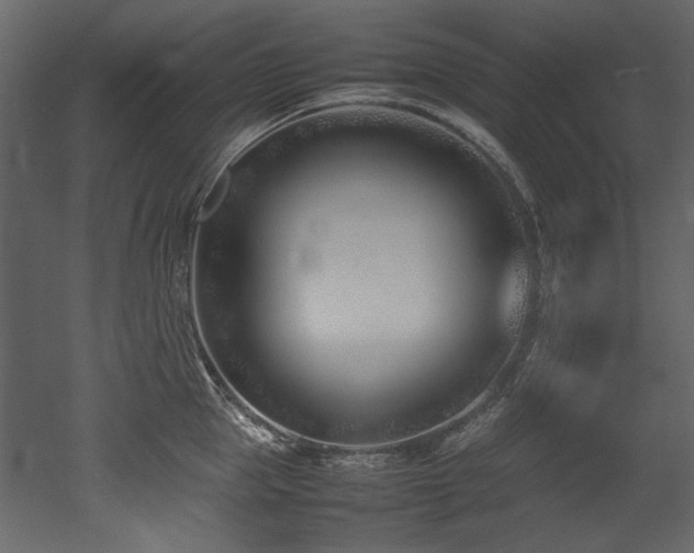 X0000052990953200507081146