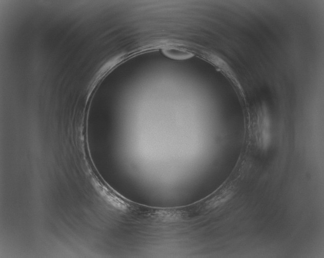 X0000052990954200507081146