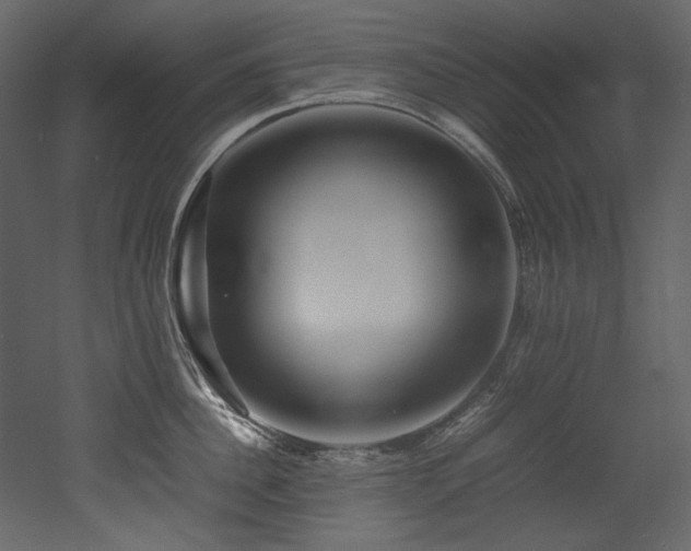 X0000052990956200507081146
