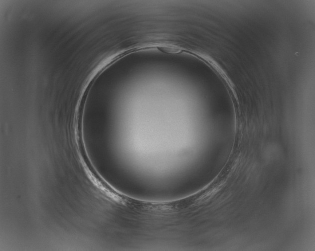 X0000052990957200507081146