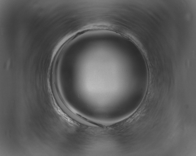 X0000052990960200507081146