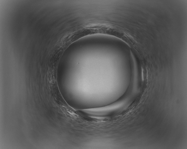 X0000052990965200507081145
