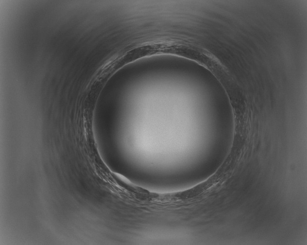 X0000052990967200507081145