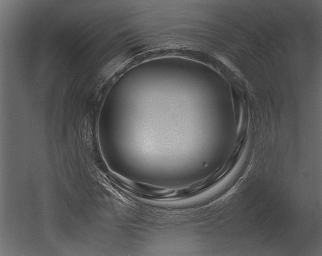 X0000052990969200507081145