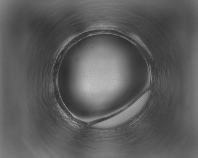 X0000052990972200507081145