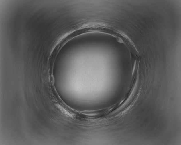X0000052990973200507081145