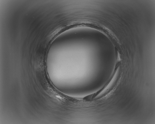 X0000052990977200507081145
