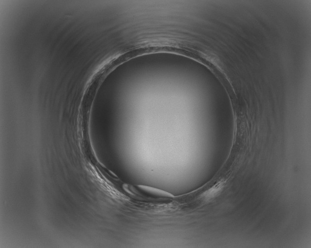 X0000052990979200507081145