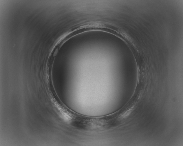 X0000052990981200507081144