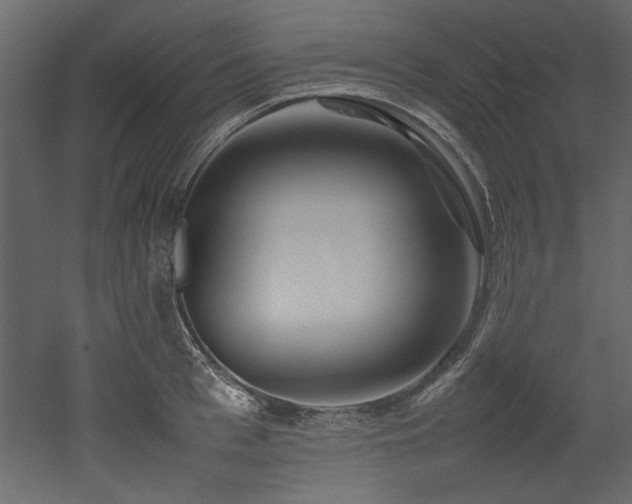 X0000052990993200507081144