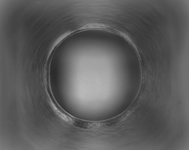 X0000052991003200507081144