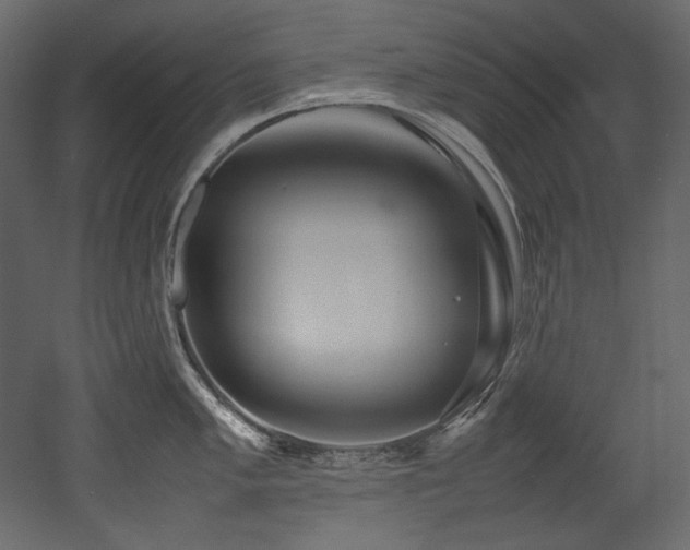 X0000052991005200507081144