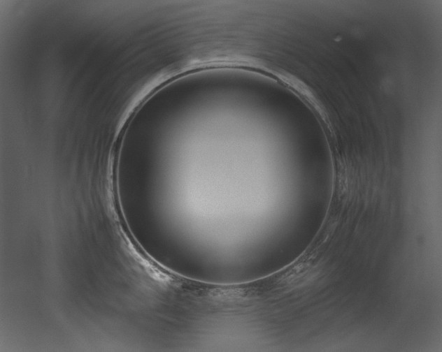 X0000052991006200507081144