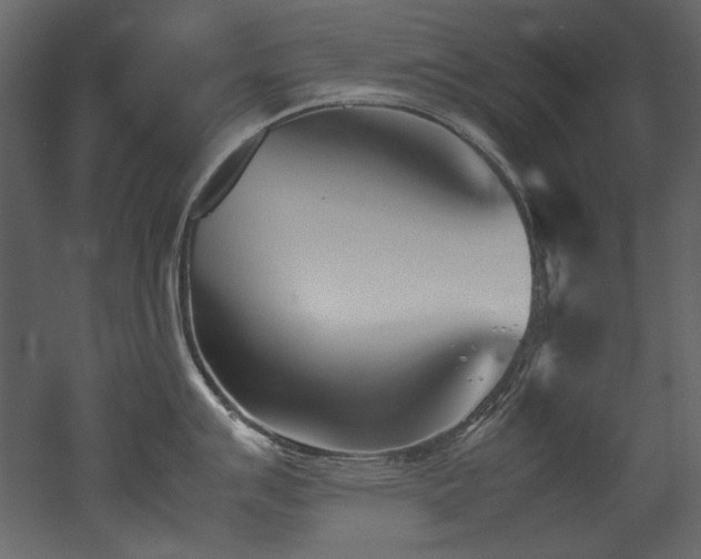 X0000052991007200507081144