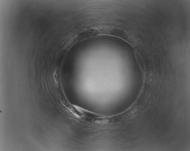 X0000052991010200507081143