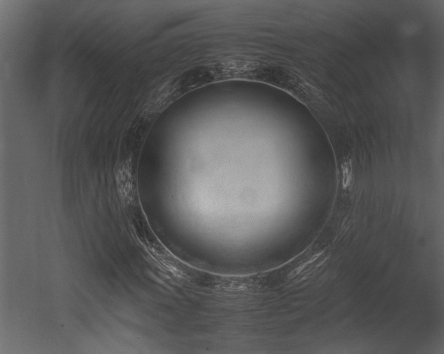 X0000052991011200507081143
