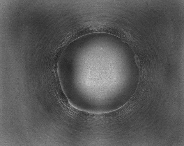 X0000052991012200507081143