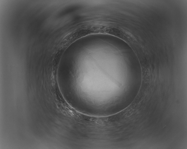 X0000052991013200507081143