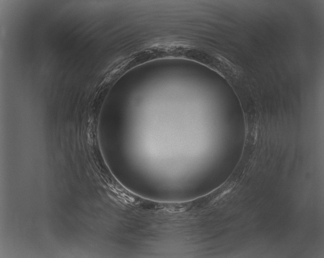 X0000052991014200507081143