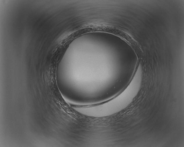 X0000052991016200507081143