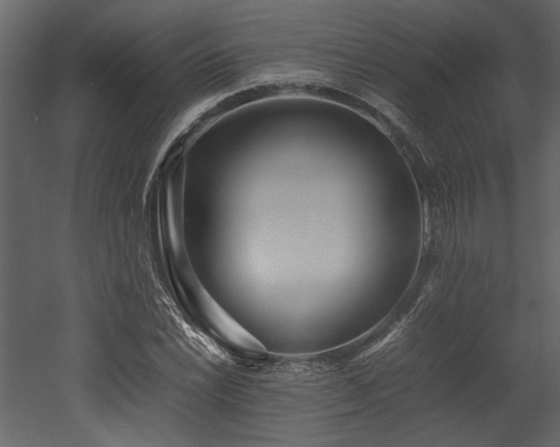 X0000052991022200507081143
