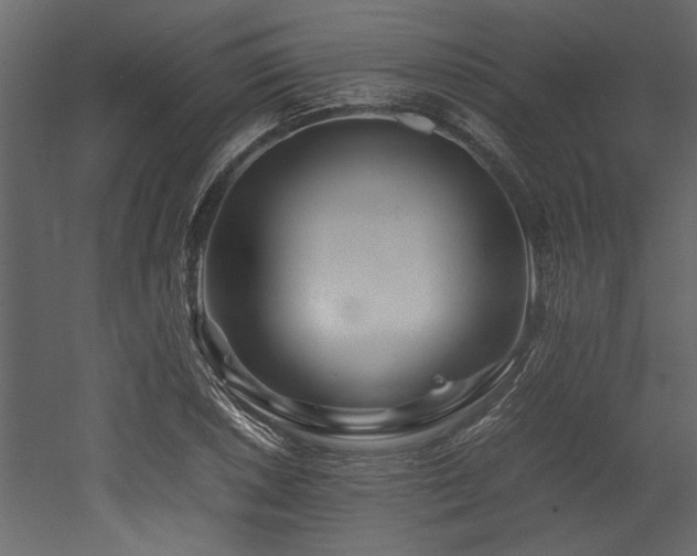 X0000052991026200507081143