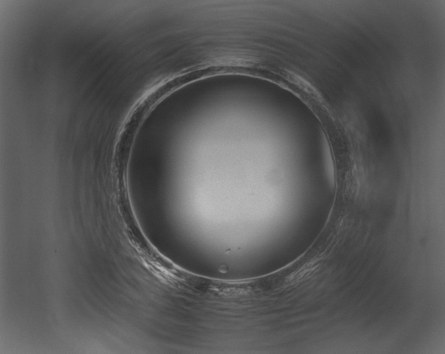 X0000052991027200507081144