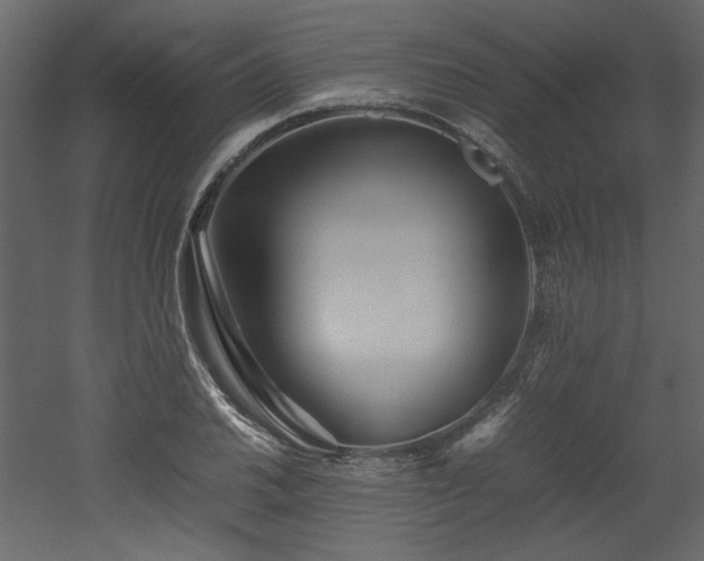 X0000052991030200507081144