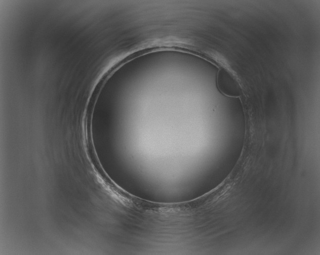 X0000052991032200507081144