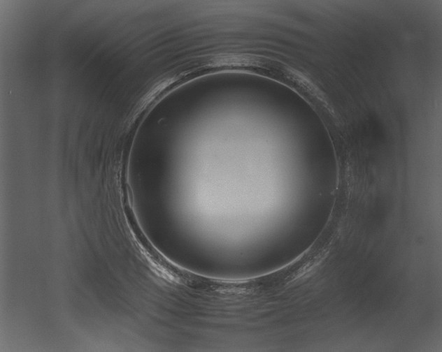 X0000052991033200507081144