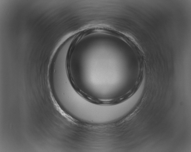 X0000052991038200507081144