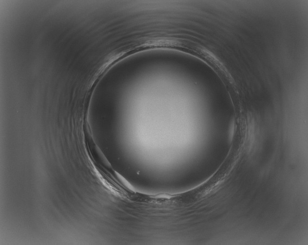 X0000052991041200507081144