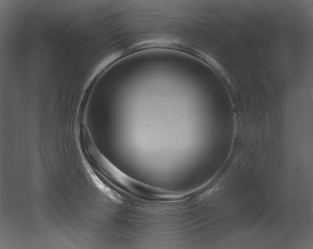 X0000052991042200507081144