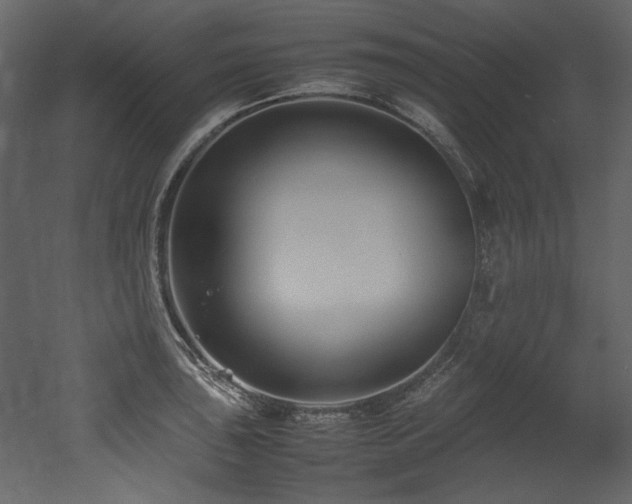 X0000052991043200507081144