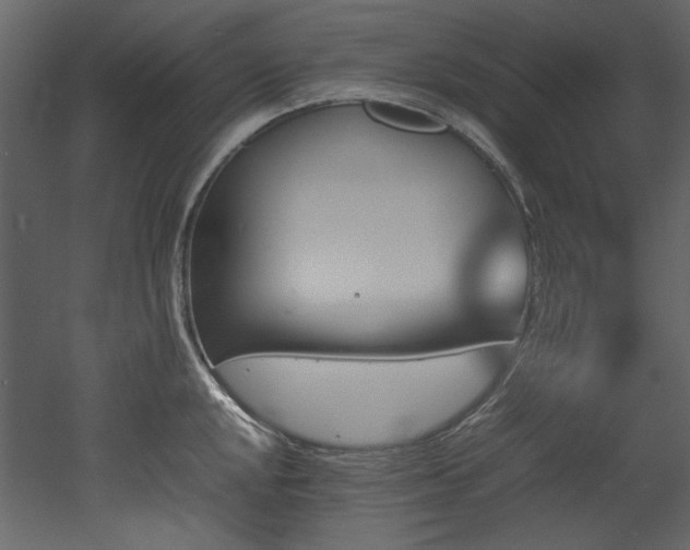 X0000052991048200507081144