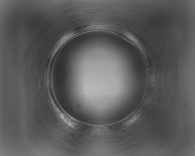 X0000052991050200507081144