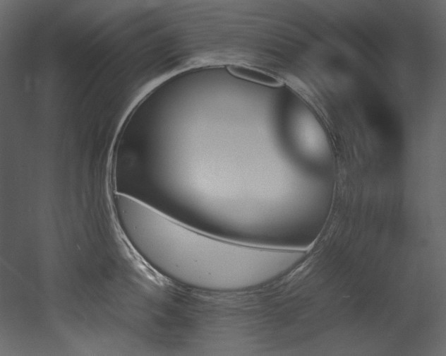 X0000052991052200507081144