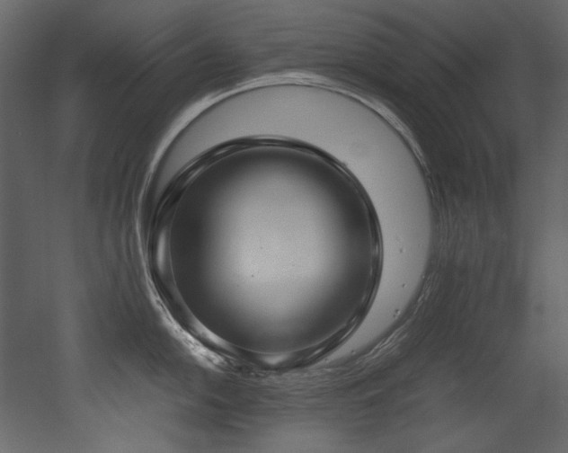 X0000052991054200507081144