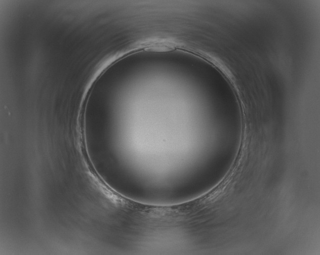X0000052991056200507081144