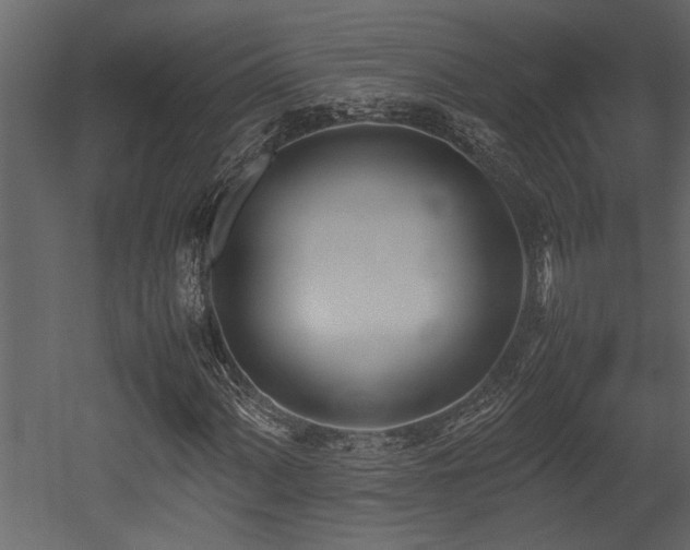 X0000052991060200507081143