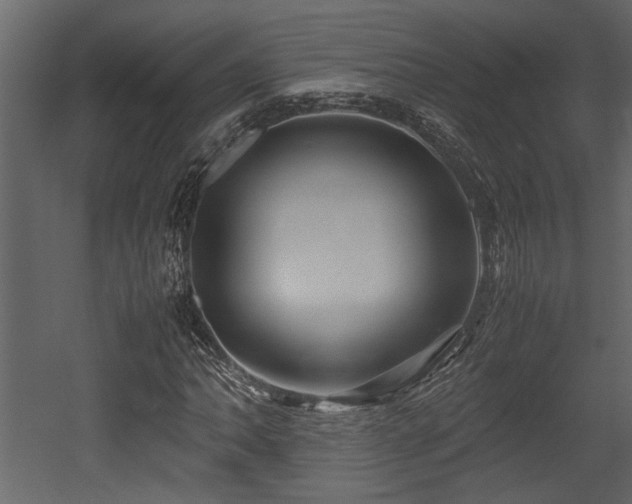 X0000052991062200507081143
