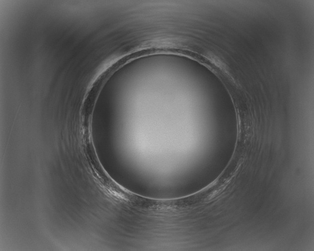 X0000052991070200507081143