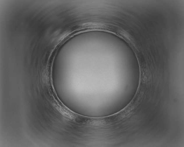 X0000052991074200507081143